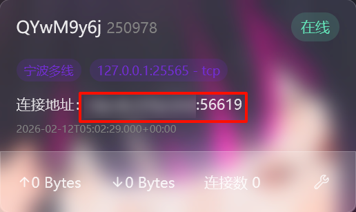 image-20260212130518862