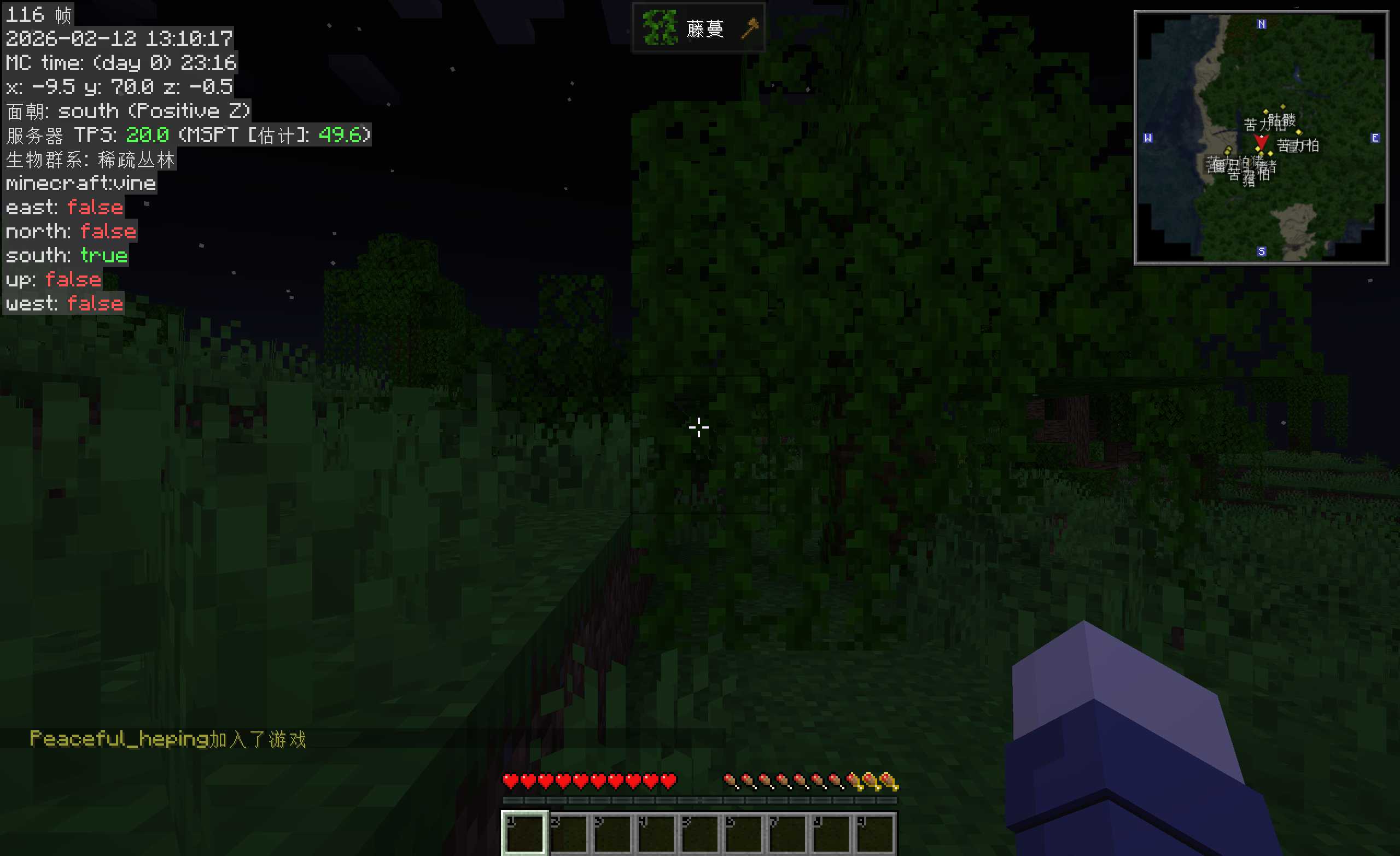 image-20260212131123123