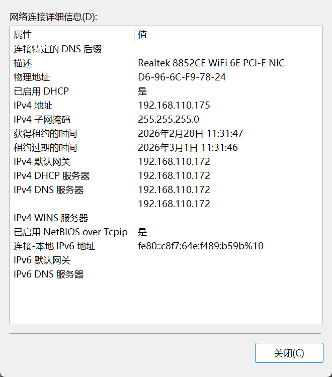 image-20260228194611594